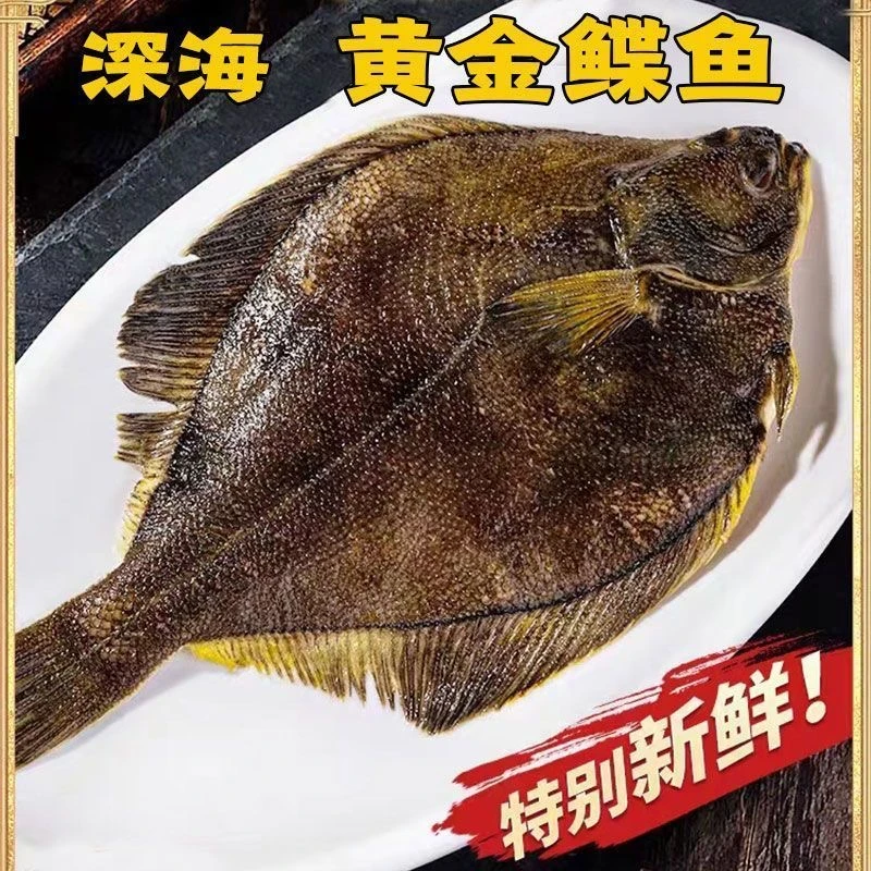 龙宫浪黄金鲽鱼比目鱼整条深海鲜活速冻鸦片鱼带尾偏口鱼鲽鱼