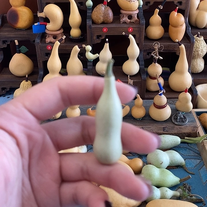 本捻青皮全品无暇