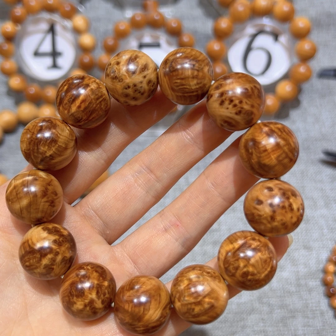 柏木（崖柏）太行崖柏1.8瘤花