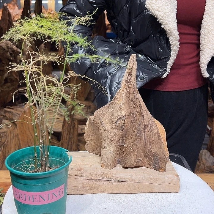 松木（琥珀木）小***，