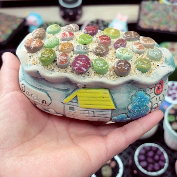 545零下地区记得拍保温箱