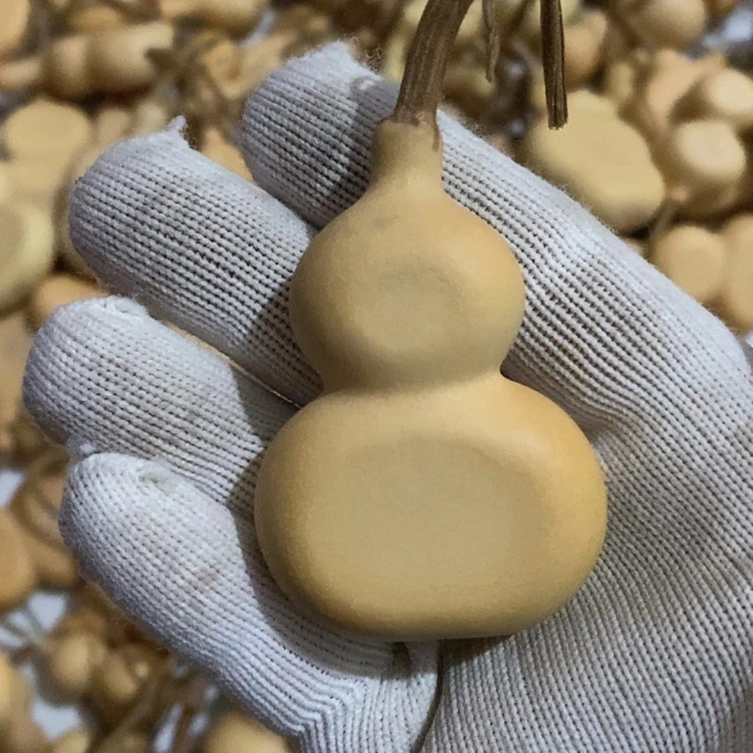 走***州天然植物葫芦有瑕