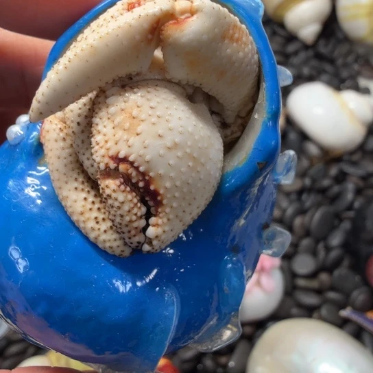 南风专属1111111111