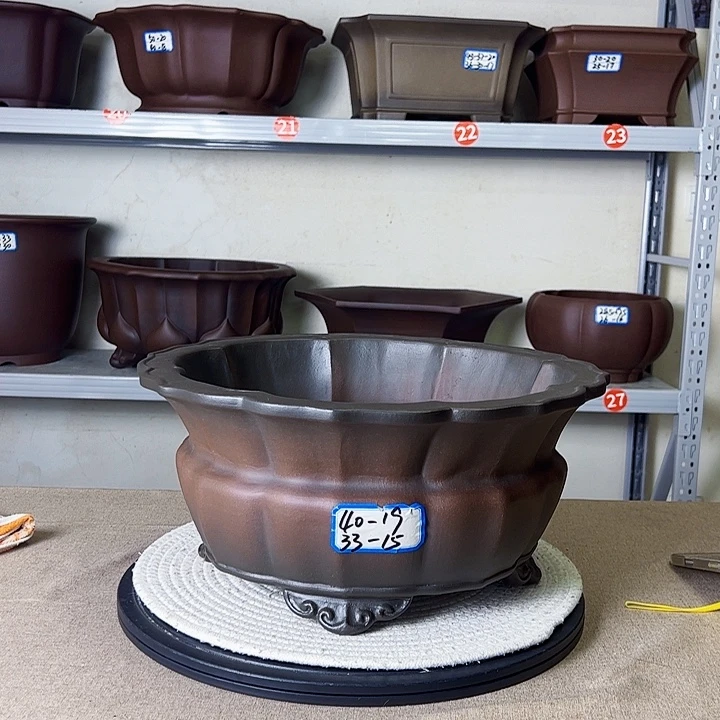 紫砂花盆黑乎乎的