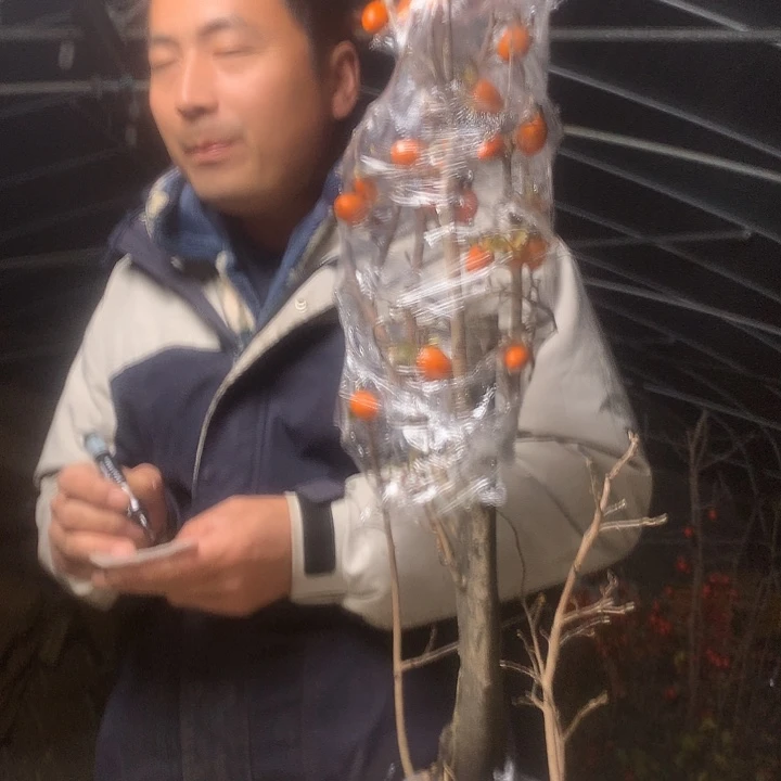 大***墨无花朵我们的目标