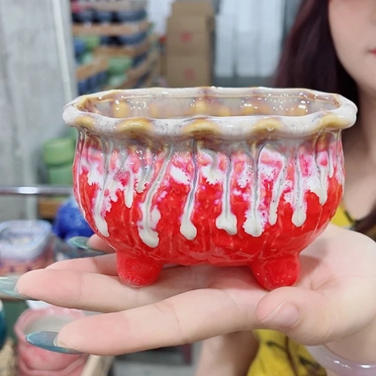 花盆凑单福利满10元发货！