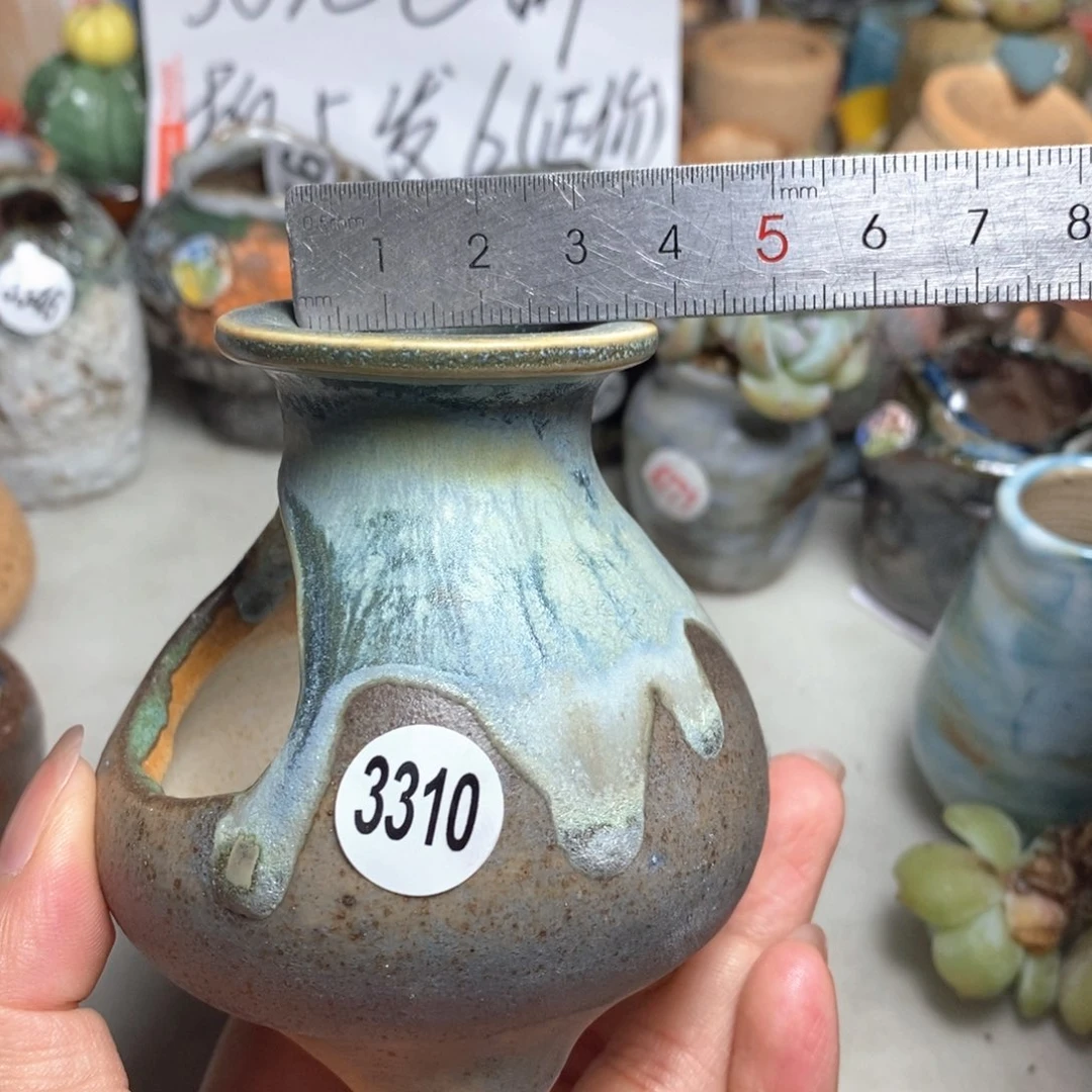 拍5送一个小礼物