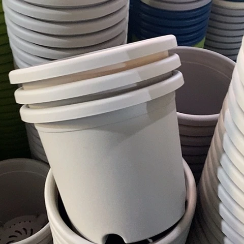 树脂四季2号灰白无托20个特价