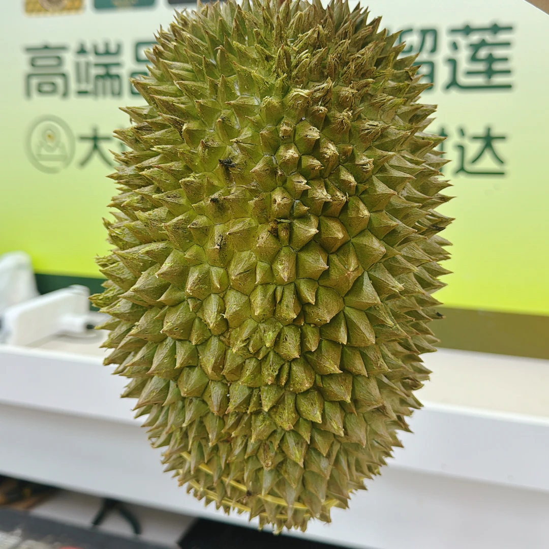 马来西亚D163“葫芦”鲜榴莲（核大）双A85元/斤葫芦马来西亚