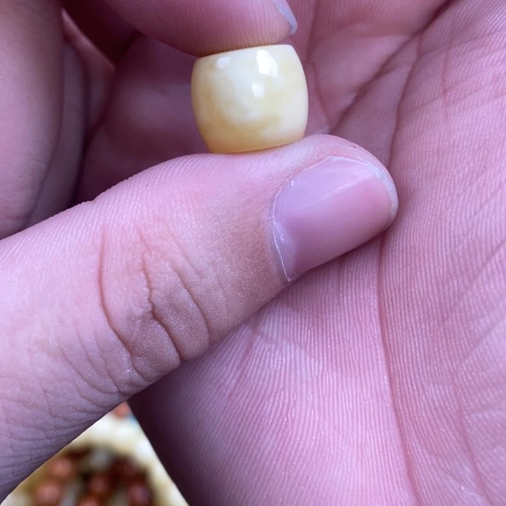 蜜蜡裸石未镶嵌⠀***