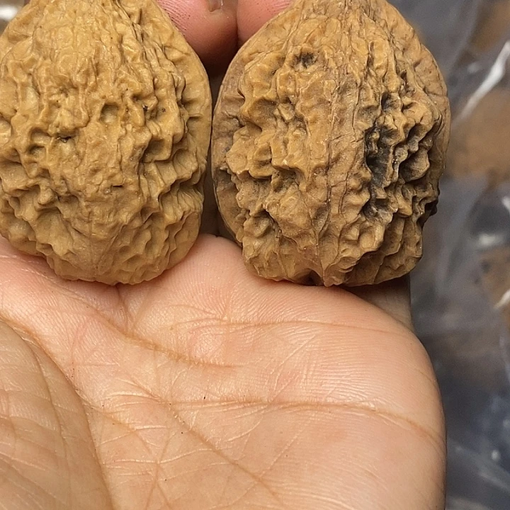 把件文玩核桃云南铁核桃83