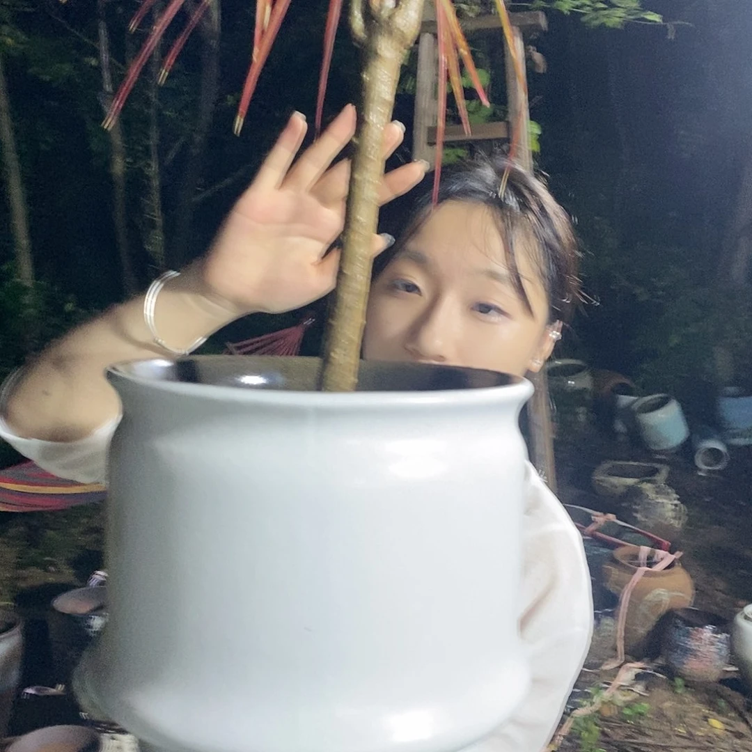 紫砂花盆正品25/25
