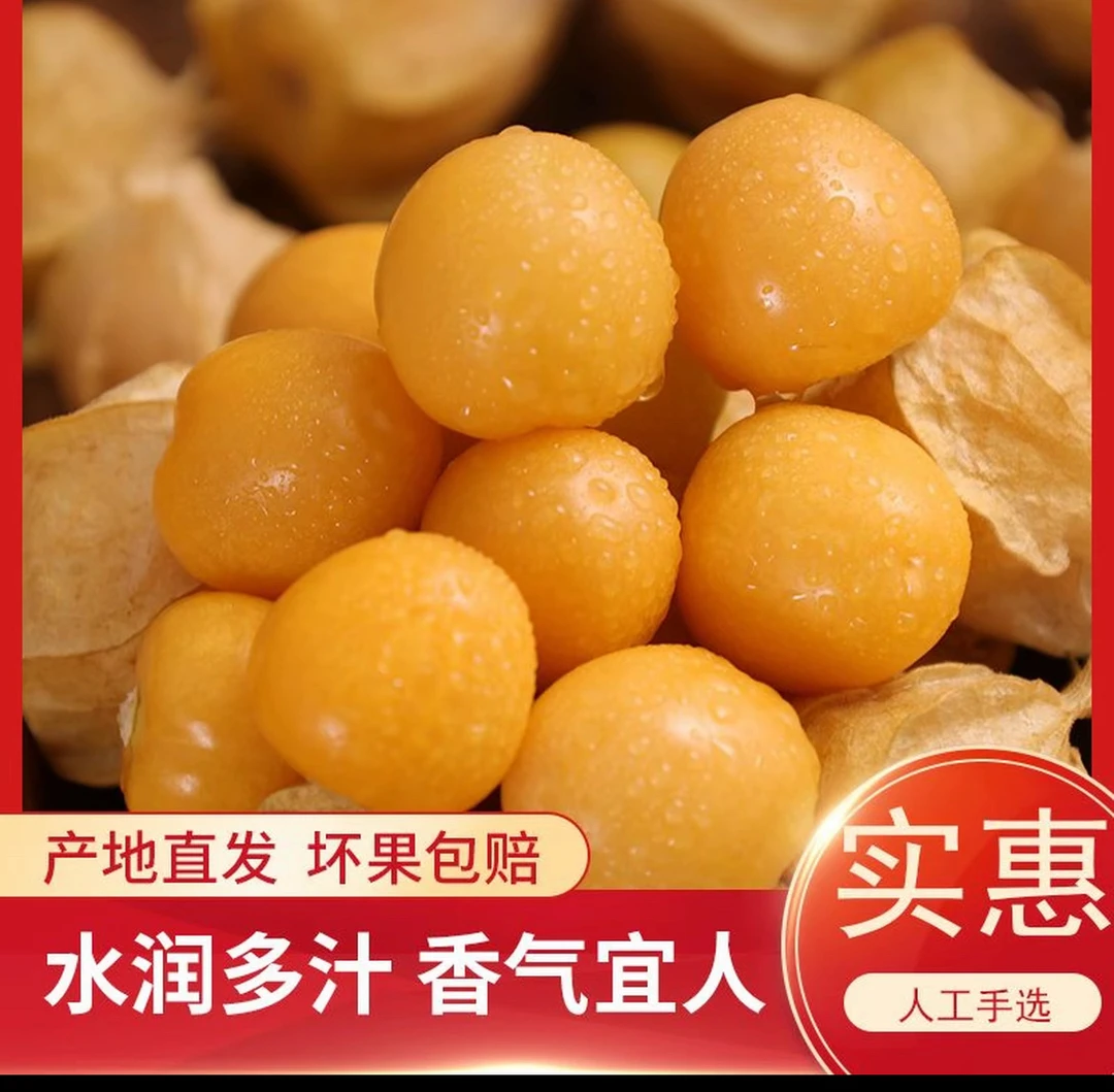 东北头茬姑娘果灯笼香甜饱满当季水果