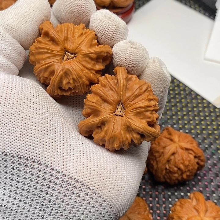 蔡***航手串/手链核桃拼接白狮子40