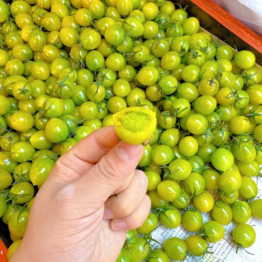 翡翠超甜柿子   超级甜  500g