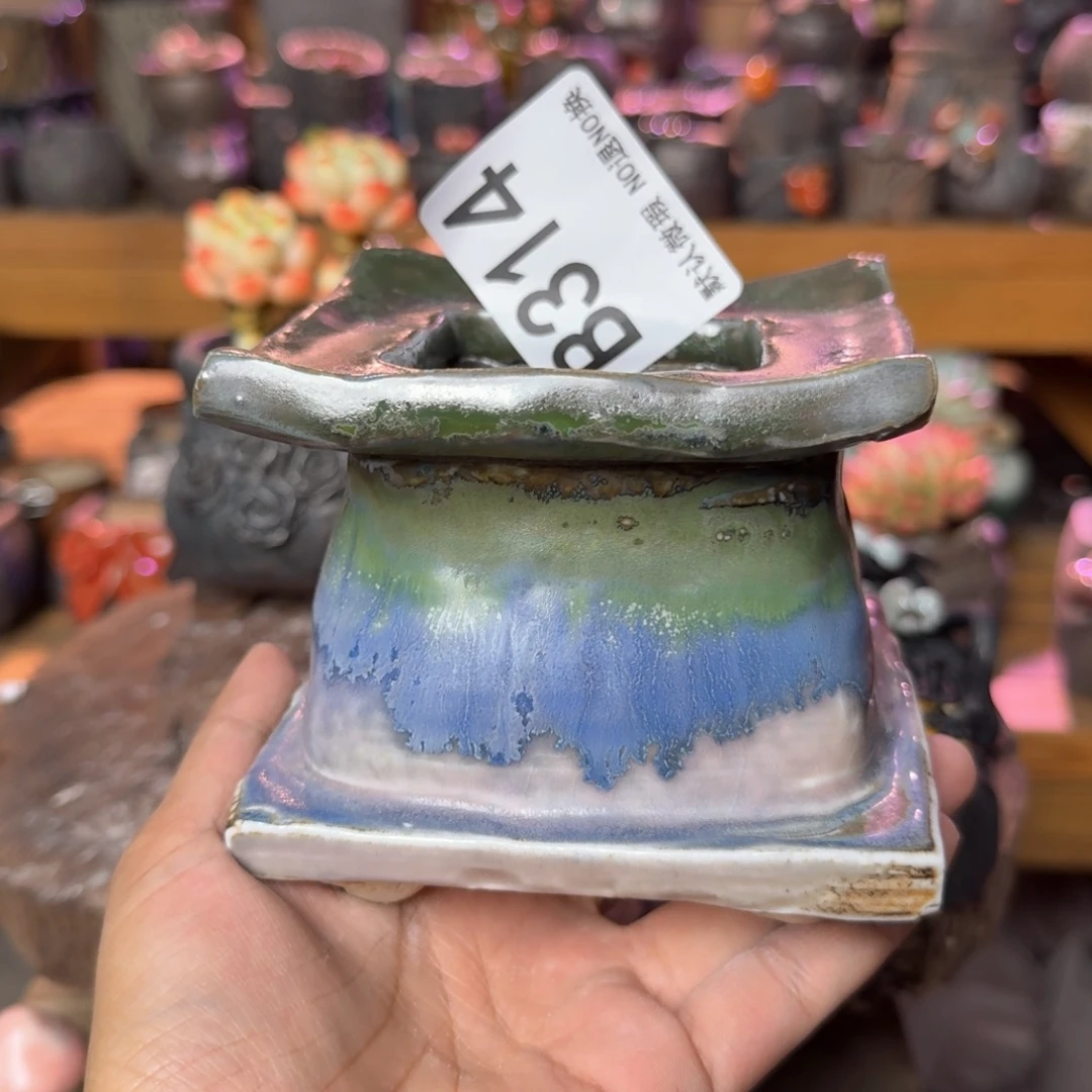 重庆小燕子欢迎大家314