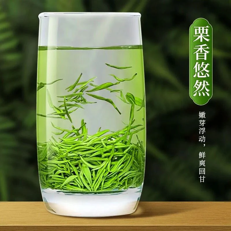 2025新茶绿茶毛尖茶茶叶250g500g
