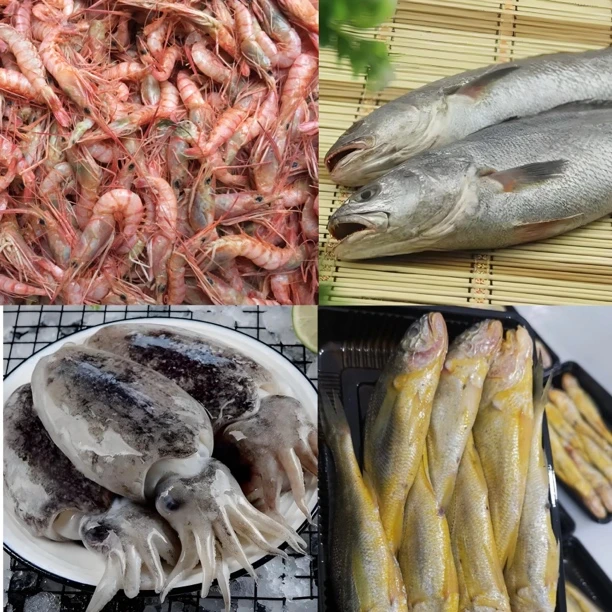 【第九网】东海网捕多种海鲜现捕（通货补挑拣）顺丰冷链