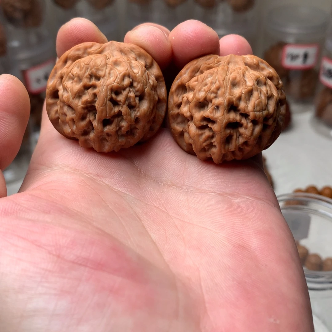 文玩核桃把件太行血狮