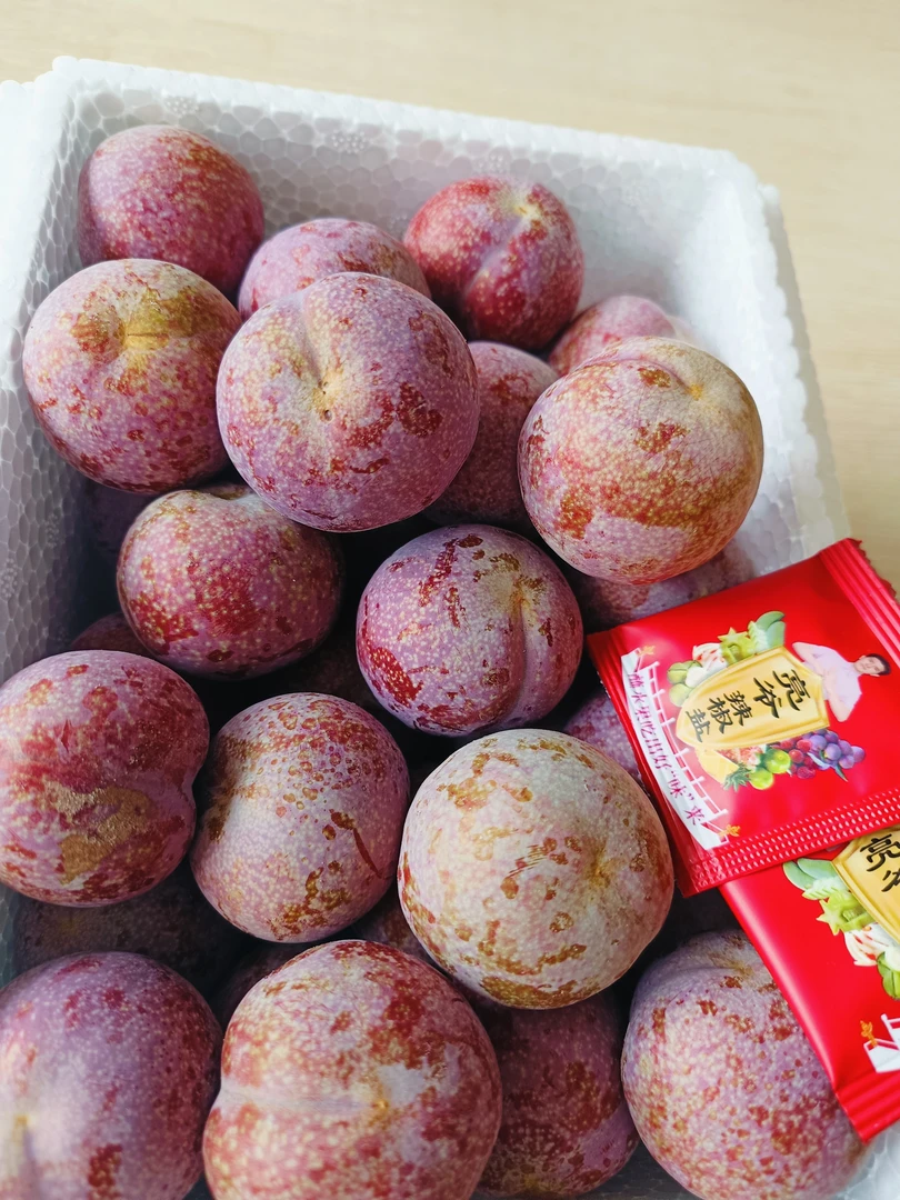 钱排三华李头茬果早期新鲜采摘应季水果口感酸脆2分甜8分酸