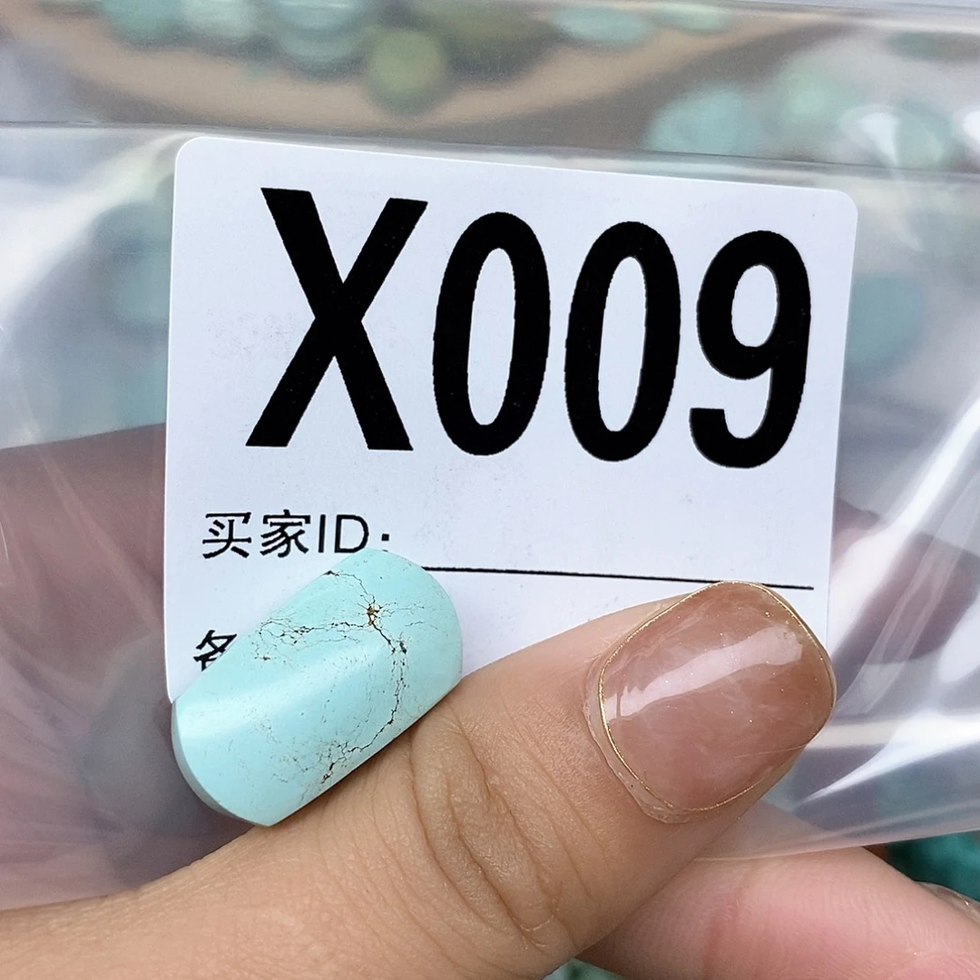 绿松石配饰未镶嵌三*