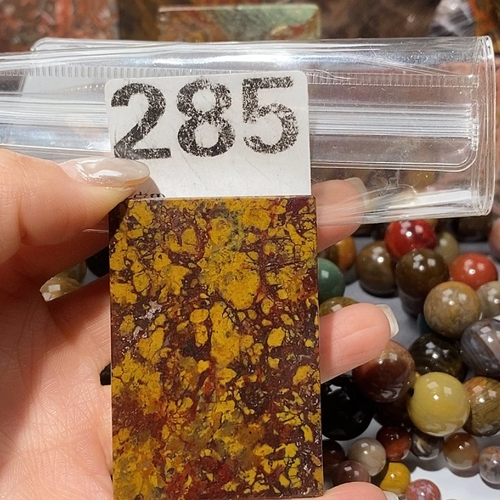 硅化玉未镶嵌天然北票树化玉吊坠