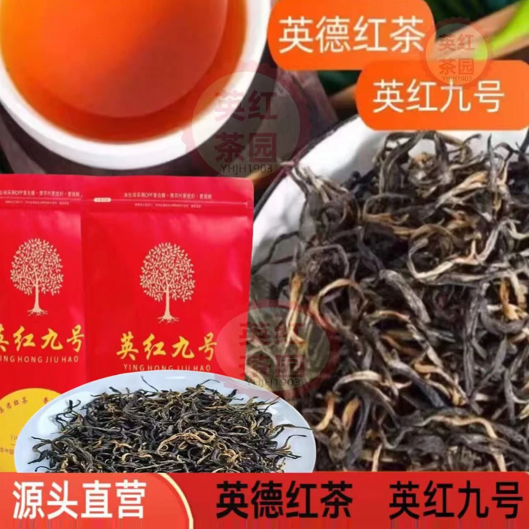 英德红茶英红九号浓香红茶浓香英红九号红茶茶叶2025新茶