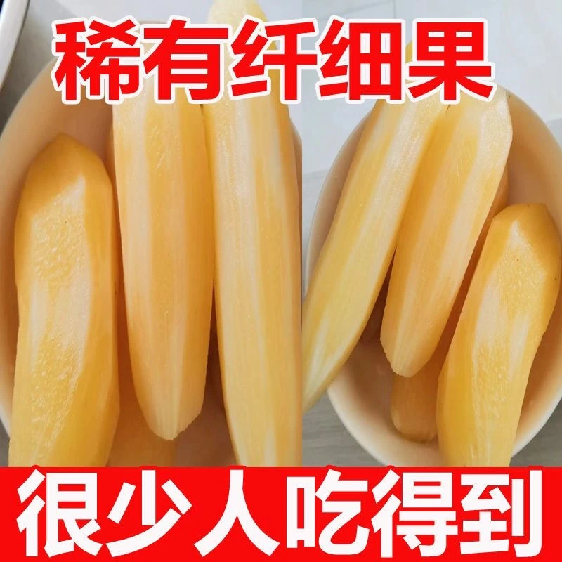 稀有细长果 云南天山雪莲果现挖现发应季水果脆甜多汁新鲜5/9斤