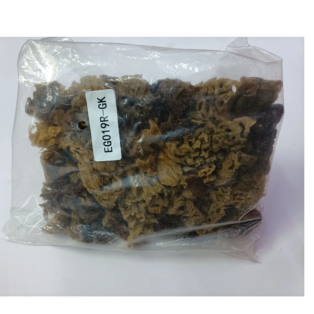 柏莉EG019R-GK天然海藻拍(可拆洗）064号