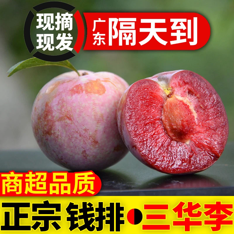 正宗广东三华李红心大果李子现摘新鲜脆甜多汁应季水果红肉芙蓉李