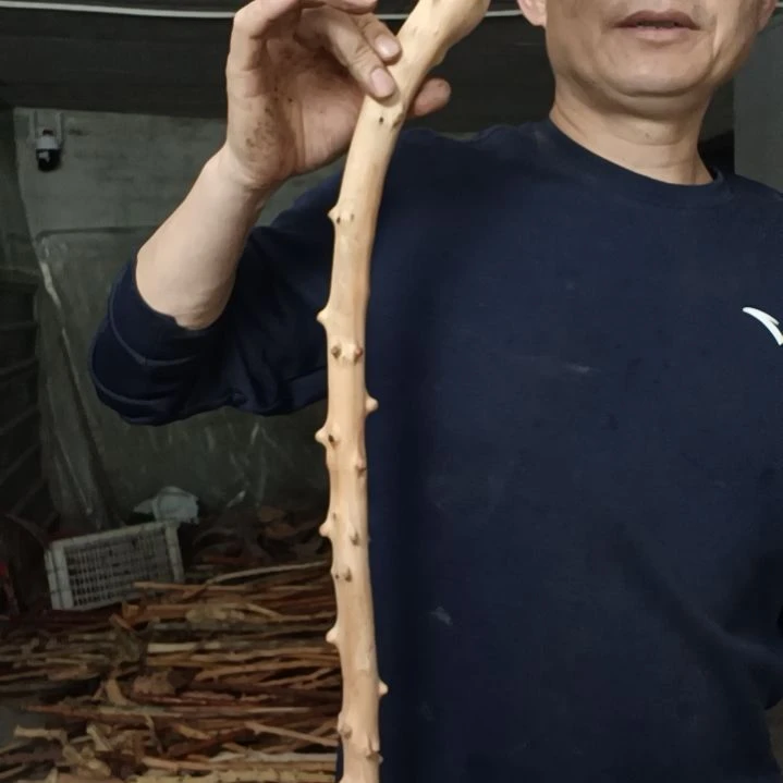 稳定木易****程高山 檬子木文玩料