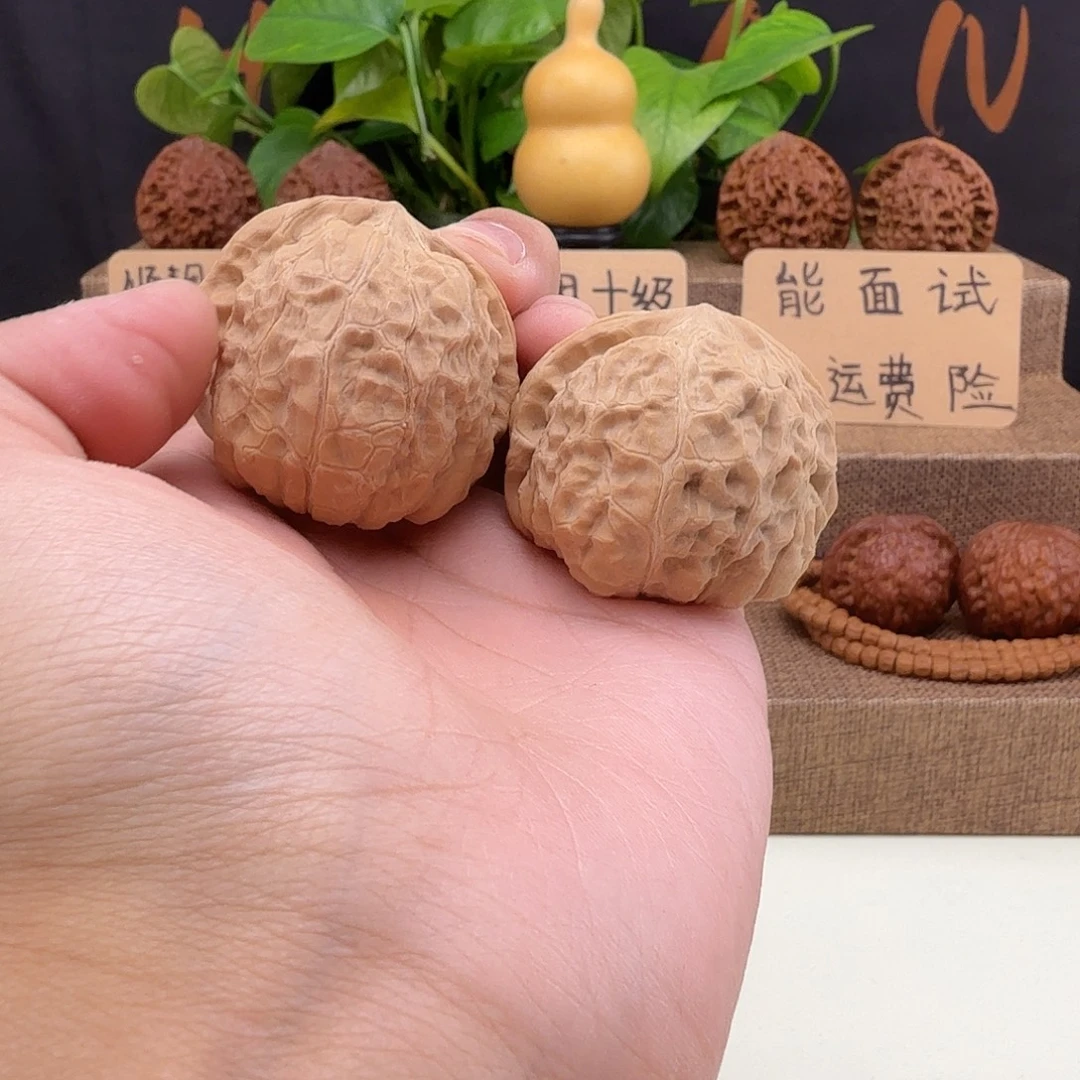 全品南瓜敦41/45/34