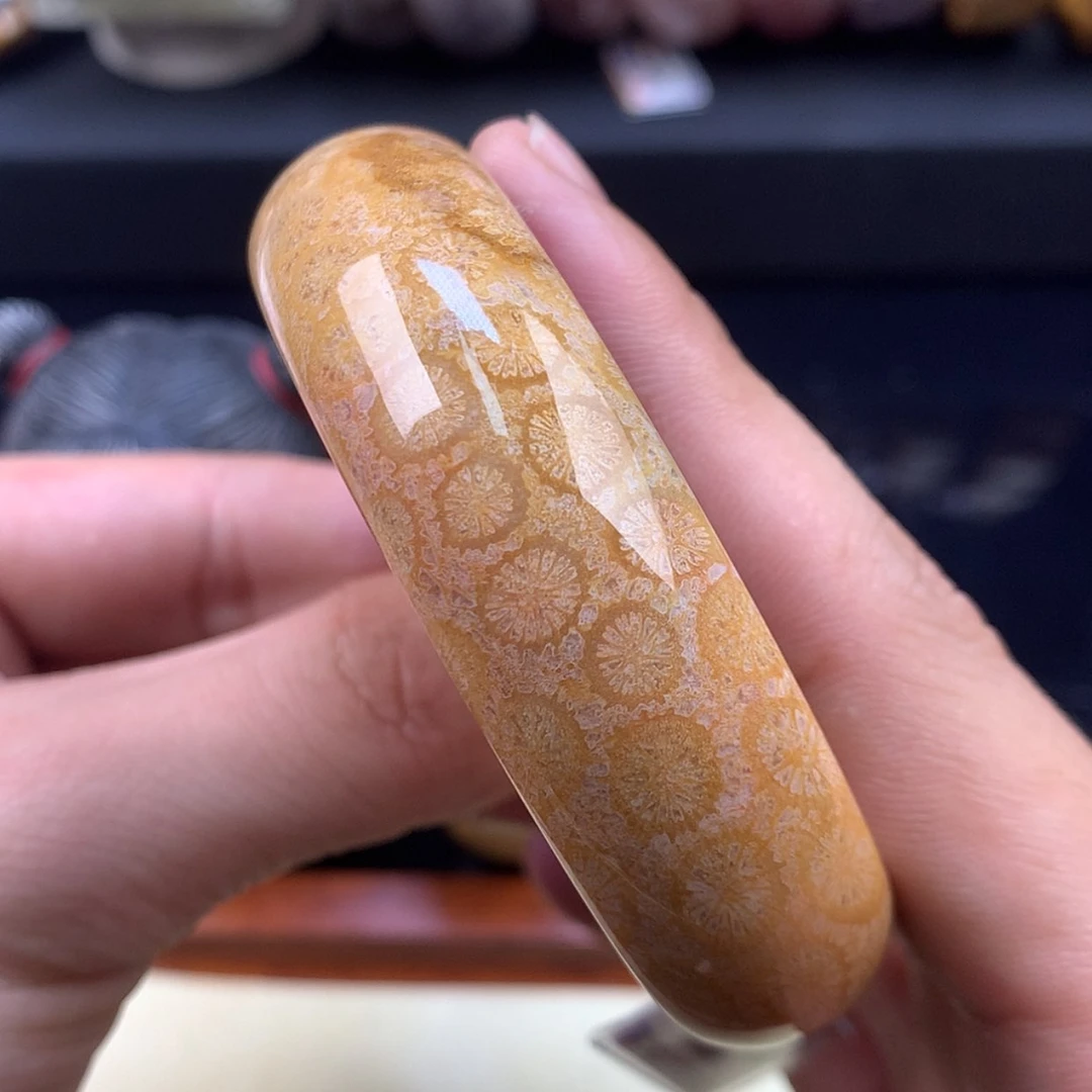 【闪购商品】颈饰未镶嵌硅化珊瑚（珊瑚玉）37号58.6圈