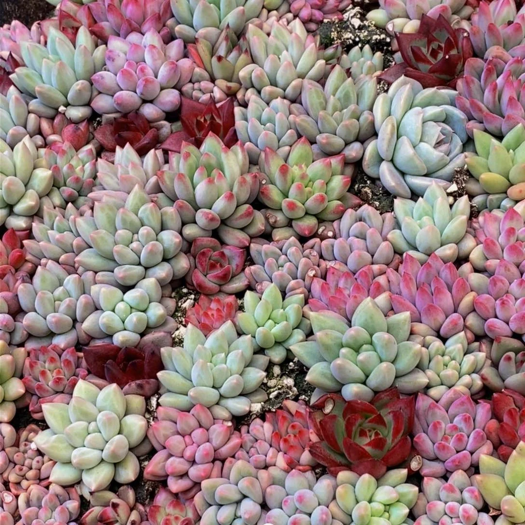 ?881的人生态度就是这样一