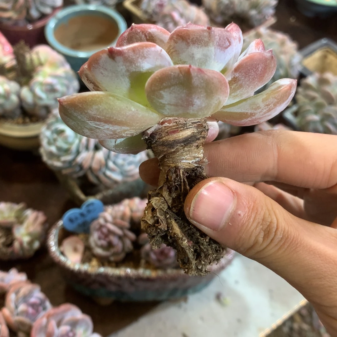 哈哈哈哈哈哈哈哈哈