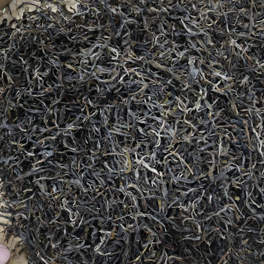 【茶农直供】2025年懂过石灰窑古树挑采   云南普洱茶 生茶 、散茶