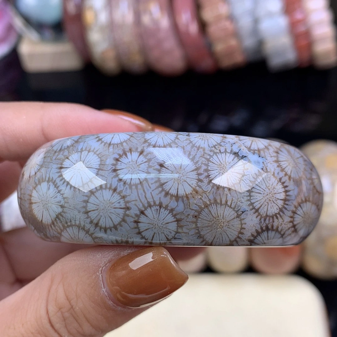 【闪购商品】颈饰未镶嵌硅化珊瑚（珊瑚玉）镯饼可做55以下圈（28号）