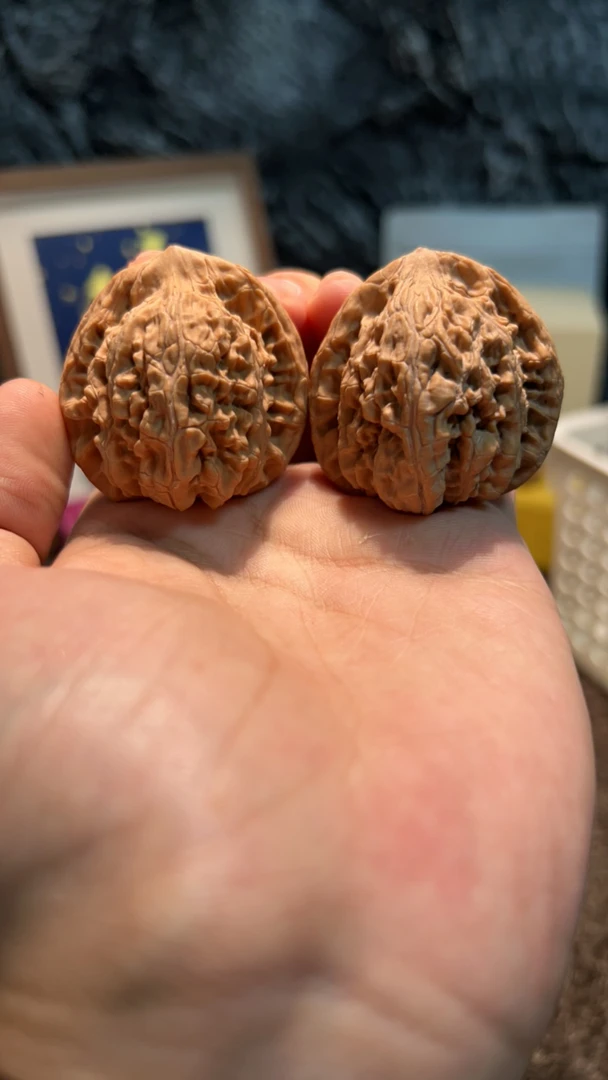 文玩核桃 望月 3111号 43.5尺寸