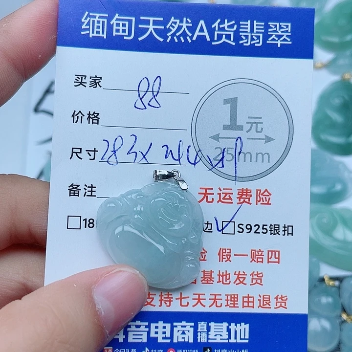 翡翠银S925镶嵌颈饰翡翠