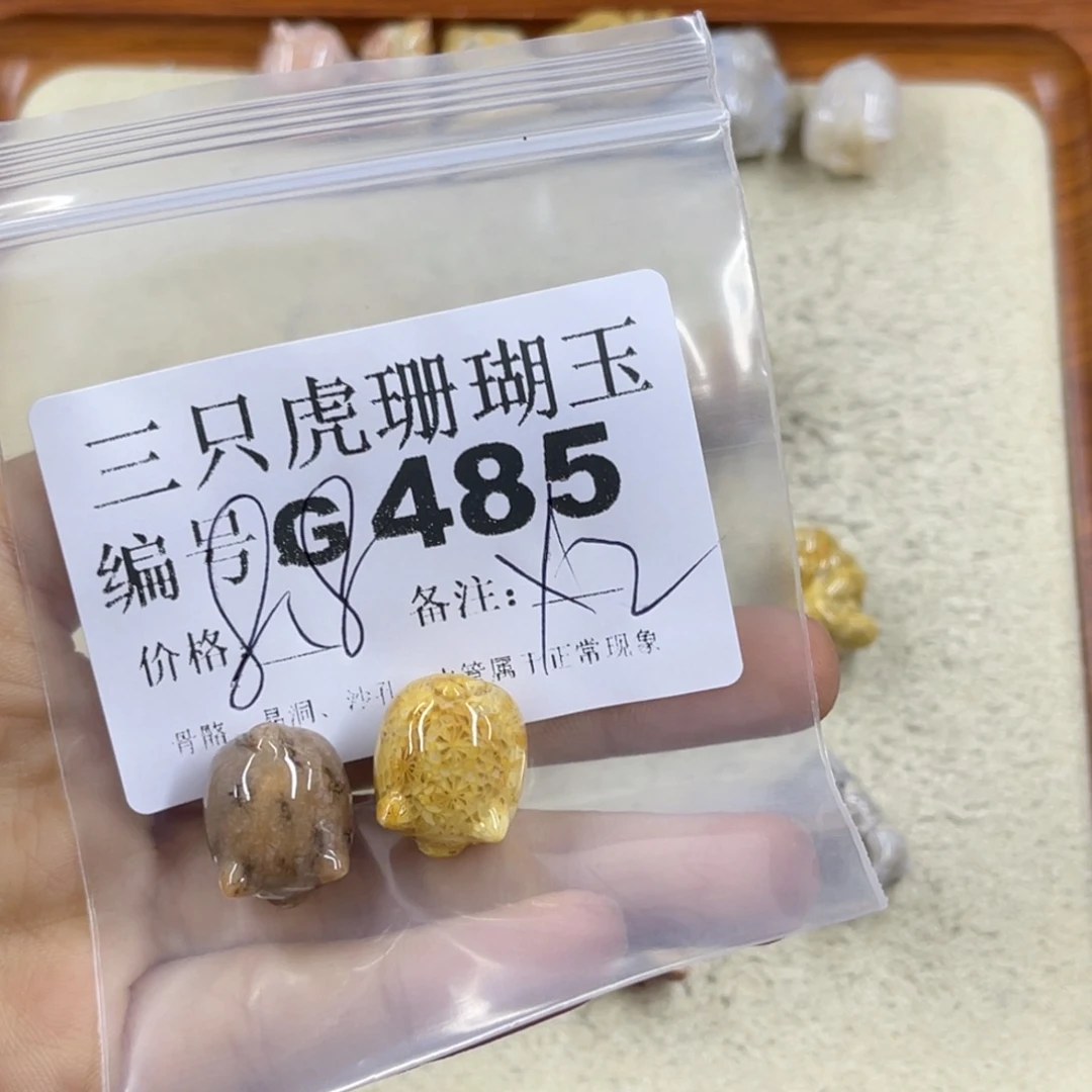 智***膜硅化珊瑚（珊瑚玉）未镶嵌h