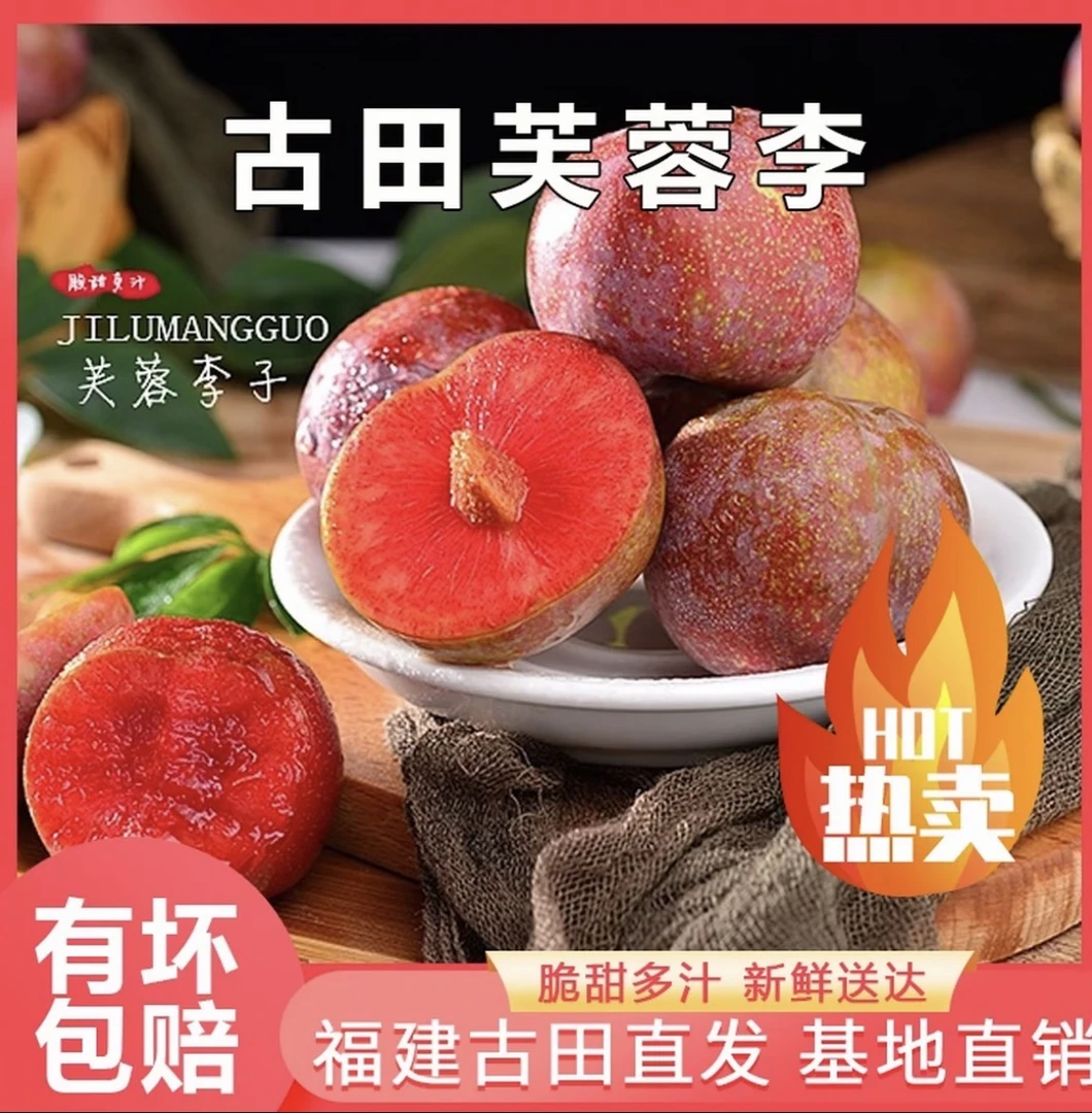 【顺丰/邮政空运】正宗古田高山红心芙蓉李凌晨摘下午发（精美大果）