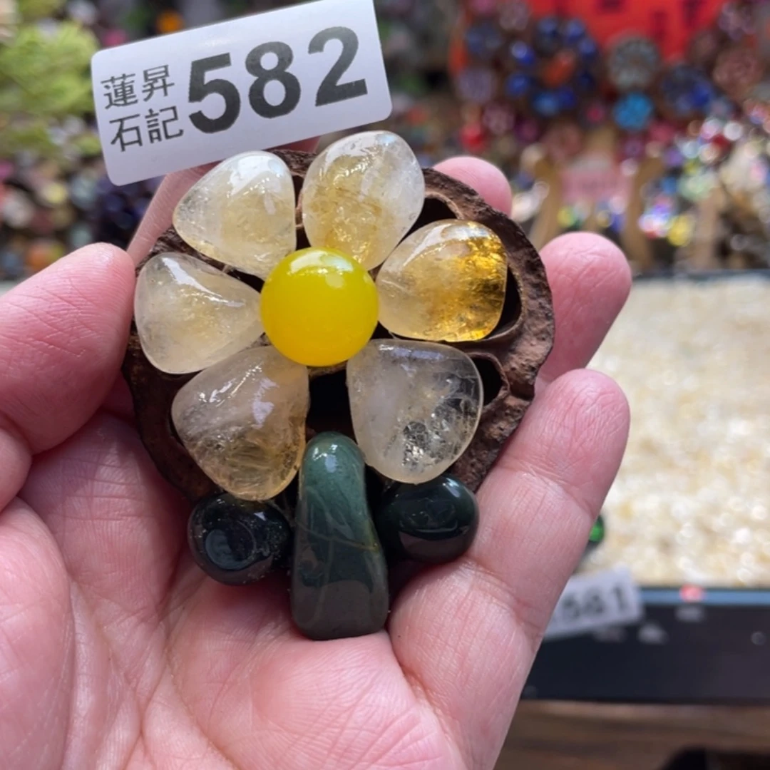 核桃木/黑胡桃（胡桃木）582