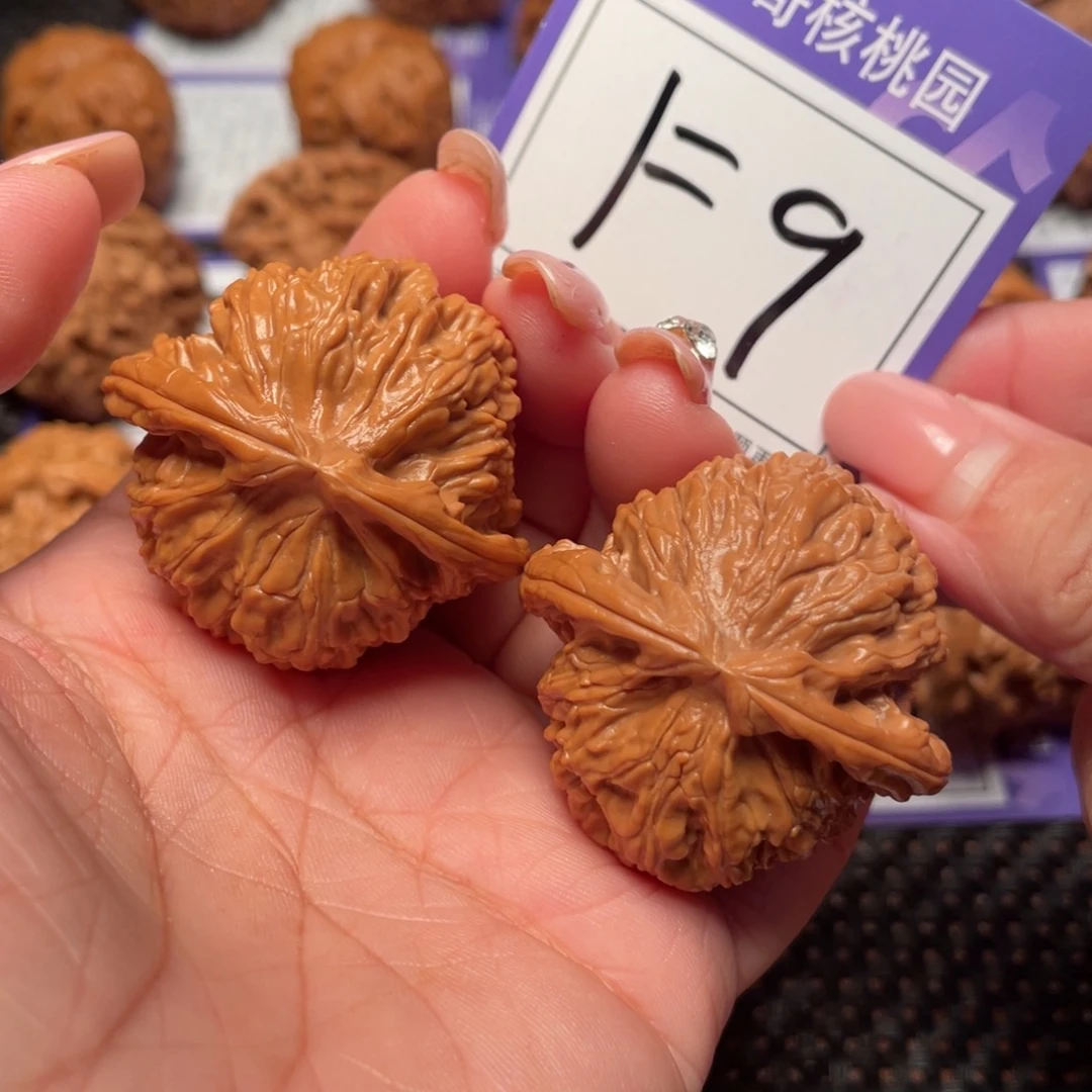 把件桃核9号白狮子40