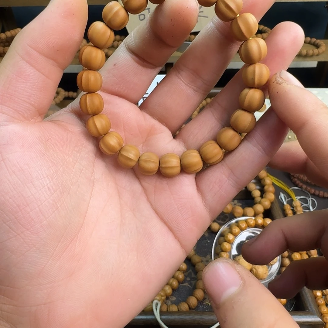吊坠龙脊菩提鲨鱼10➕