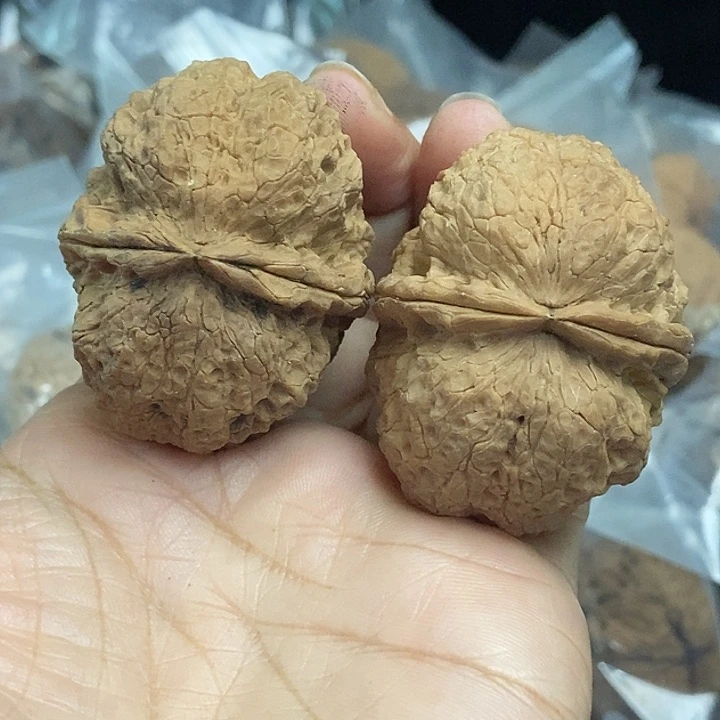 木质类云南铁核桃基地81