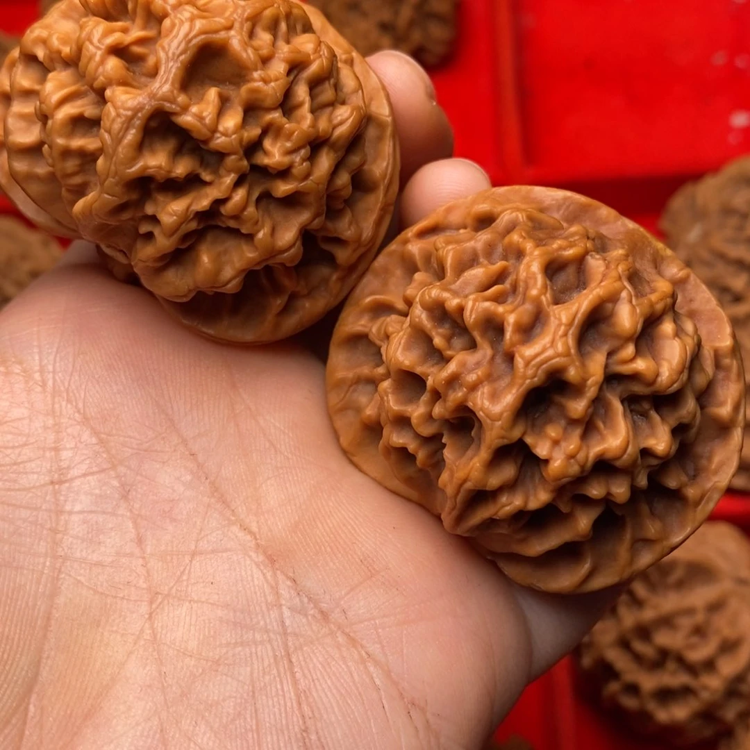 秦岭野生文玩核桃