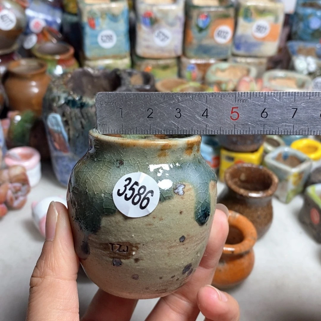 拍5送一个小礼物