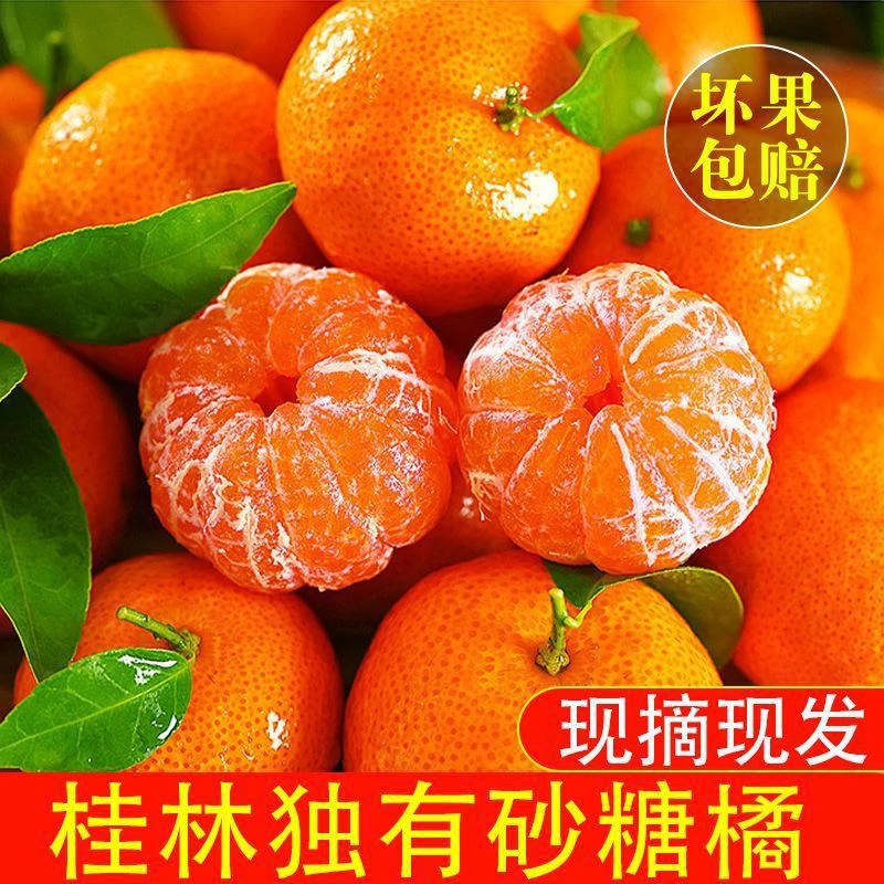 砂糖橘爆甜广西金秋沙糖桔薄皮无籽水果蜜桔橘子斤砂糖一箱批发