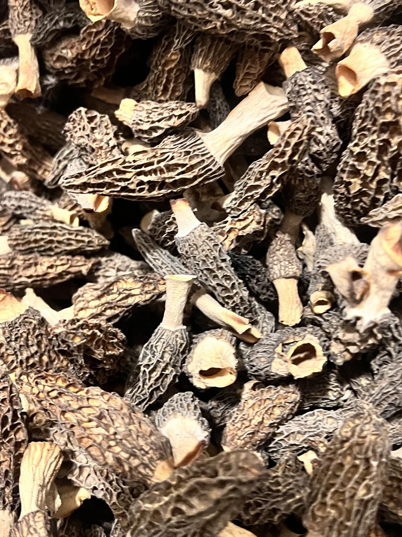 新鲜干羊肚菌煲汤特价菇非破损菇【介意品相勿选】