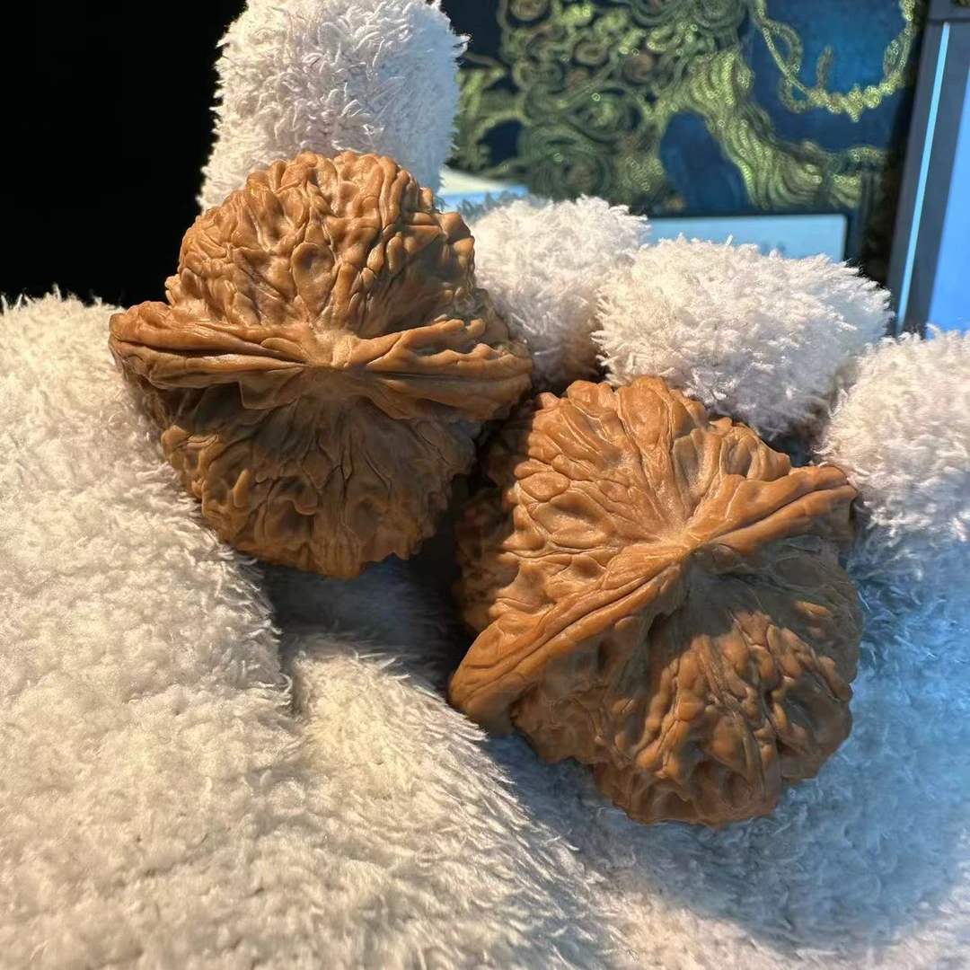 文玩核桃41白狮子全品